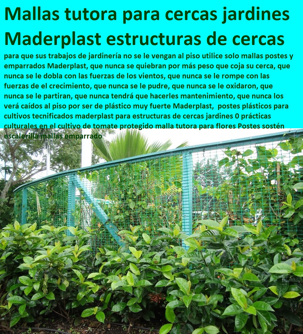 postes plásticos para cultivos tecnificados maderplast para estructuras de cercas jardines 0 prácticas culturales en el cultivo de tomate protegido malla tutora para flores Postes sostén escalerilla mallas emparrado postes plásticos para cultivos tecnificados maderplast para estructuras de cercas jardines 0 prácticas culturales en el cultivo de tomate protegido malla tutora para flores Postes sostén escalerilla mallas emparrado postes plásticos para cultivos tecnificados maderplast para estructuras de cercas jardines 0 prácticas culturales en el cultivo de tomate protegido malla tutora para flores Postes sostén escalerilla mallas emparrado
